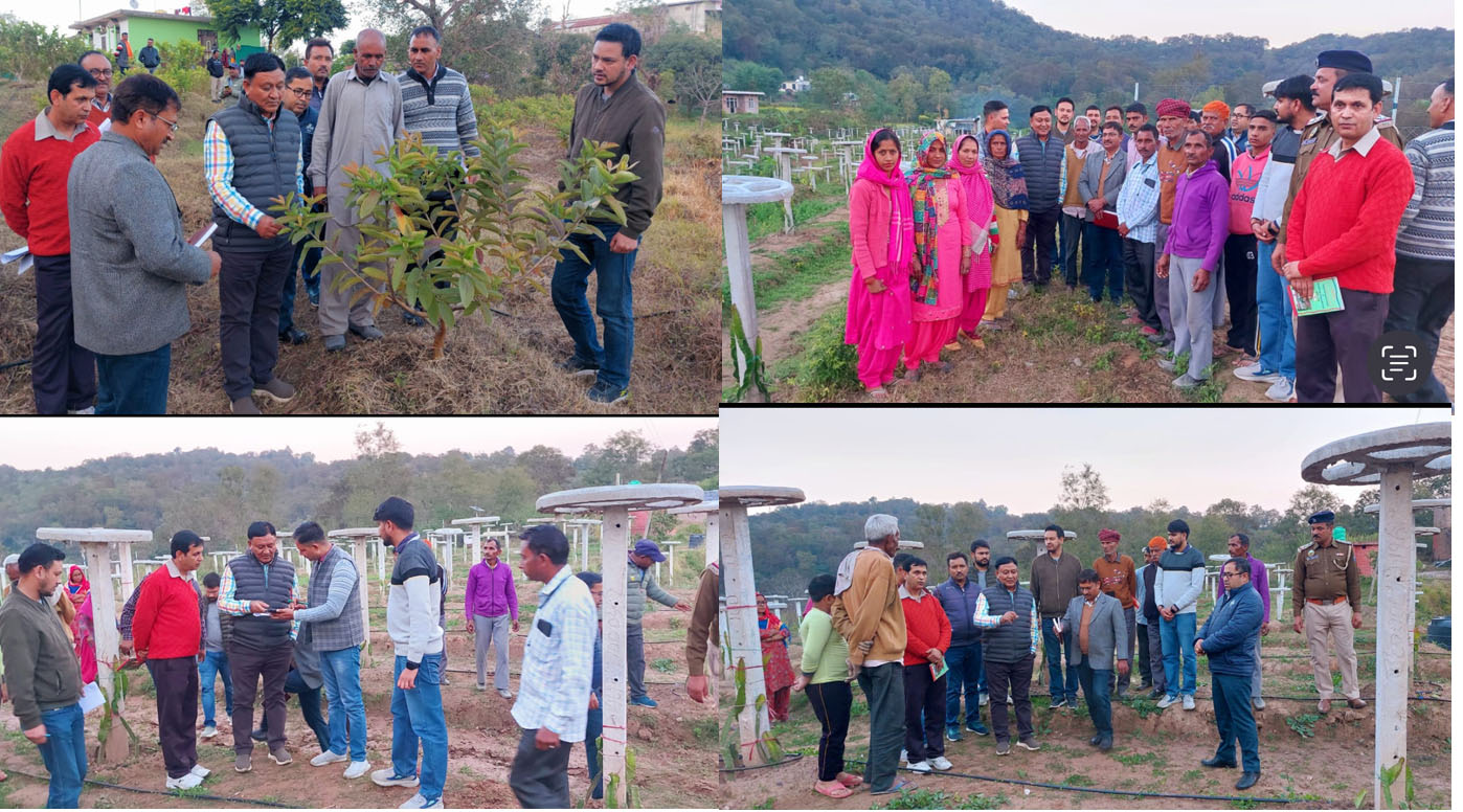 Under HP Shiva Project, Rs 1300 crore will be spent in 7 districts in the next 4 years - Jagat Singh Negi